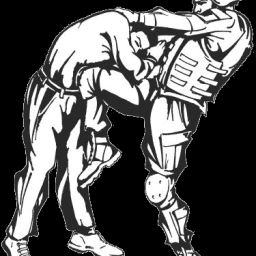 Main image of West Point Combatives Team