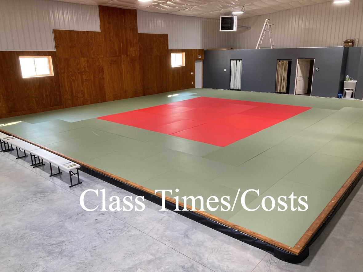 Main image of Western Idaho Judo Institute