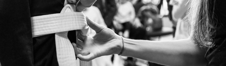 Main image of Westside Dojo-DFW