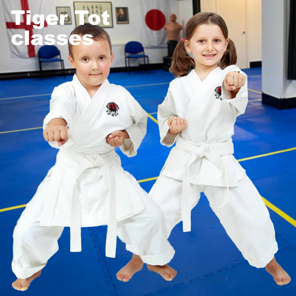 Main image of Westwood Karate Academy