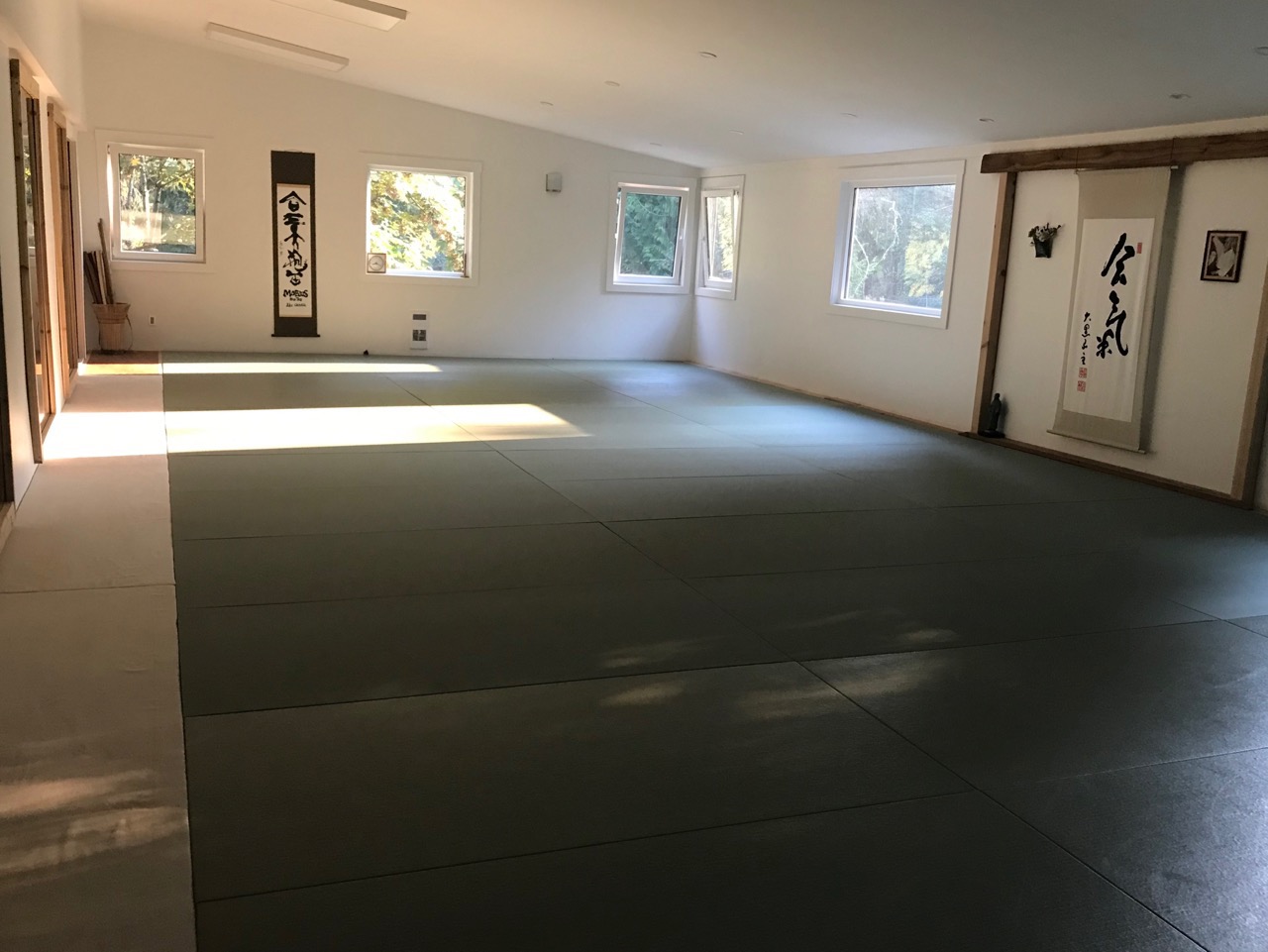 Main image of What is Aikido?