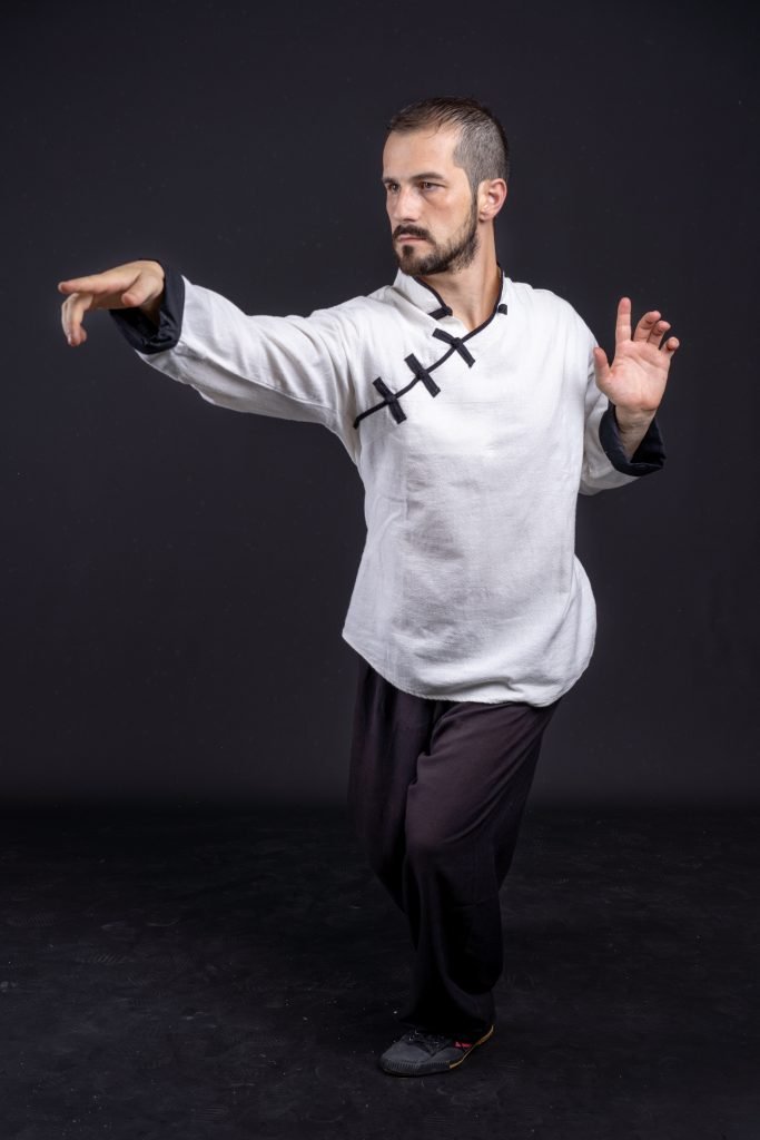 Main image of White Crane Kung Fu