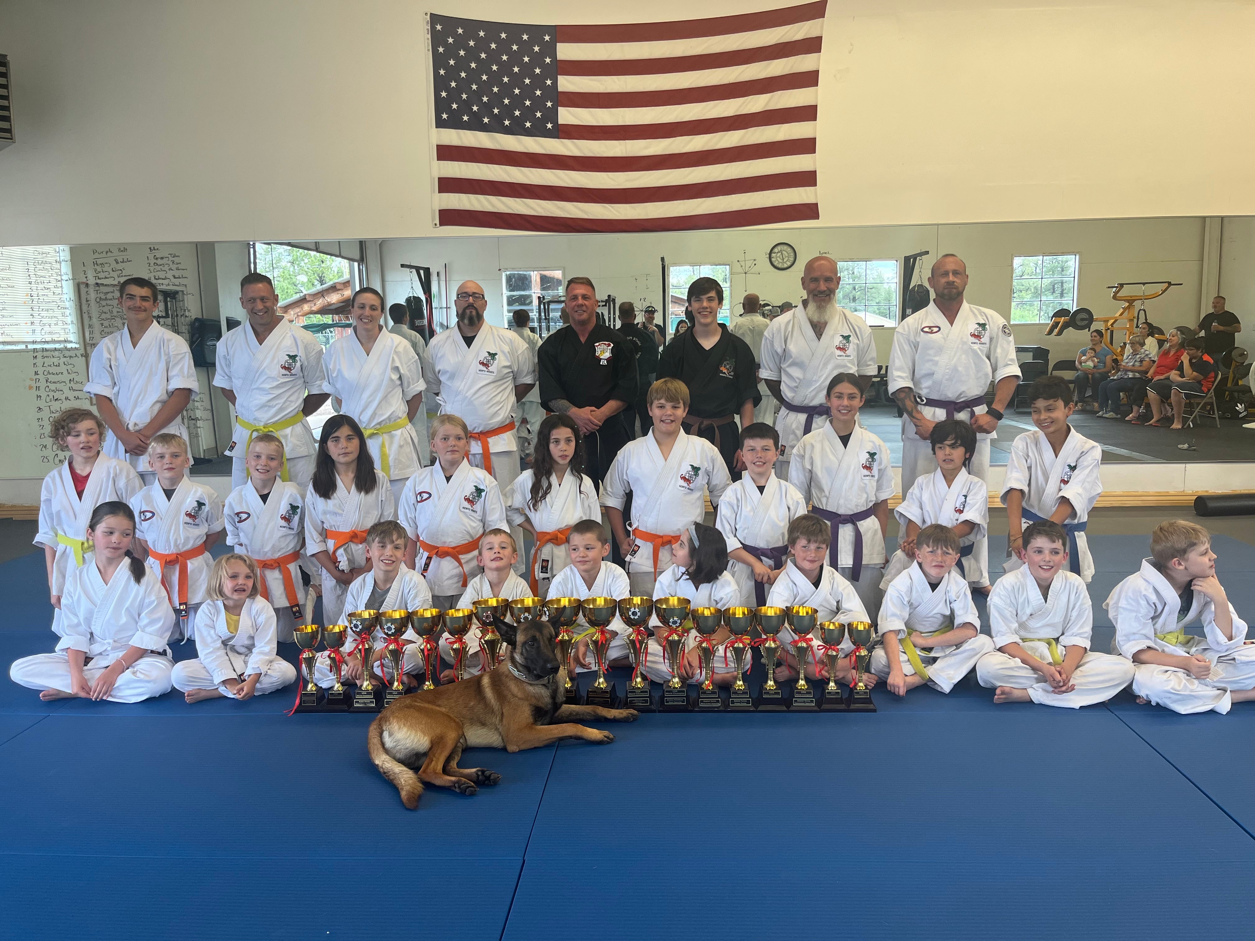 Main image of White mountain kenpo