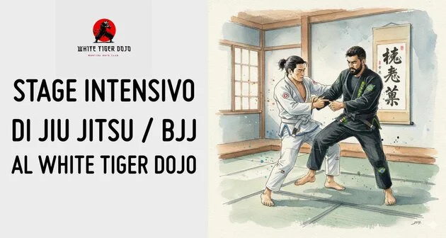 Main image of White Tiger Dojo