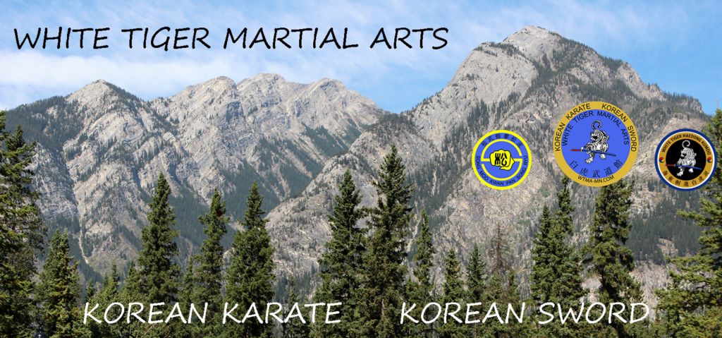 Main image of White Tiger Martial Arts