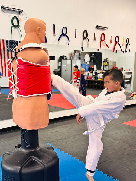 Main image of White Tiger Taekwondo