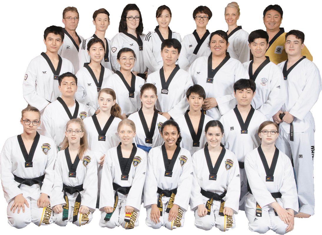 Main image of White Tiger Taekwondo Lewisville/Castle Hills/Carrollton TX