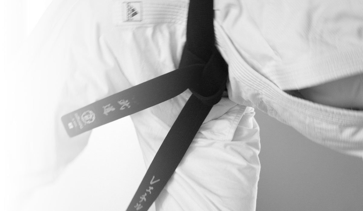 Main image of White Wolf Dojo