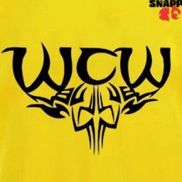 Main image of Will County Warriors
