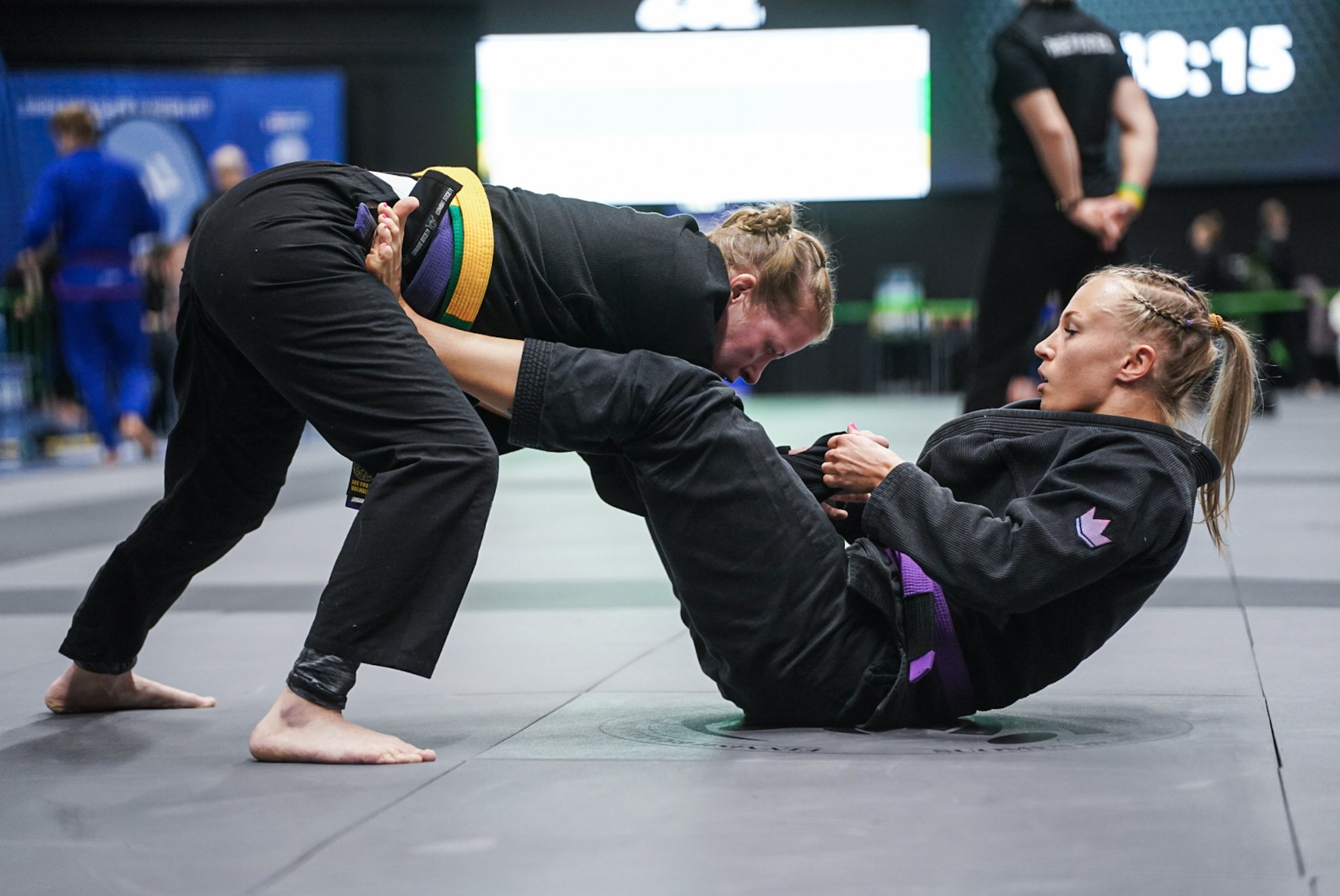 Main image of Willi Jiu-Jitsu