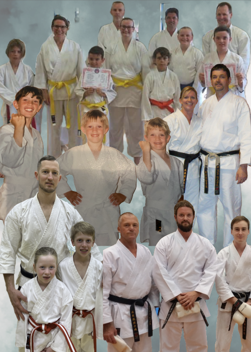 Main image of Williams Family Karate Academy