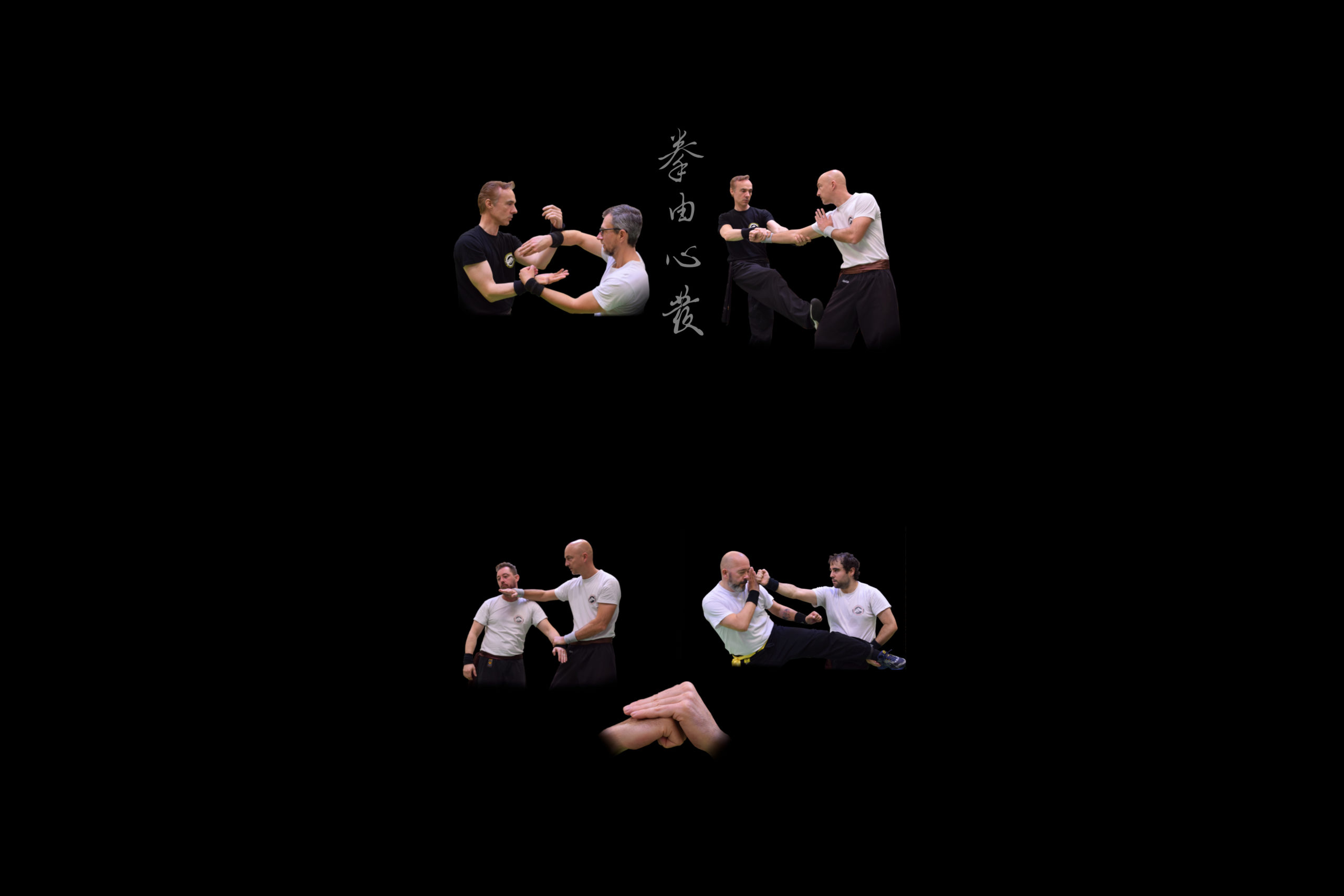 Main image of WING CHUN ACADEMY