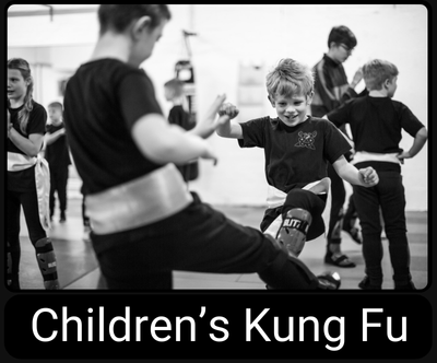 Main image of Wing Chun Halesowen