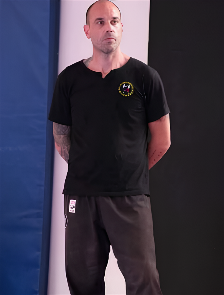 Main image of Wing Chun - Lòngkai