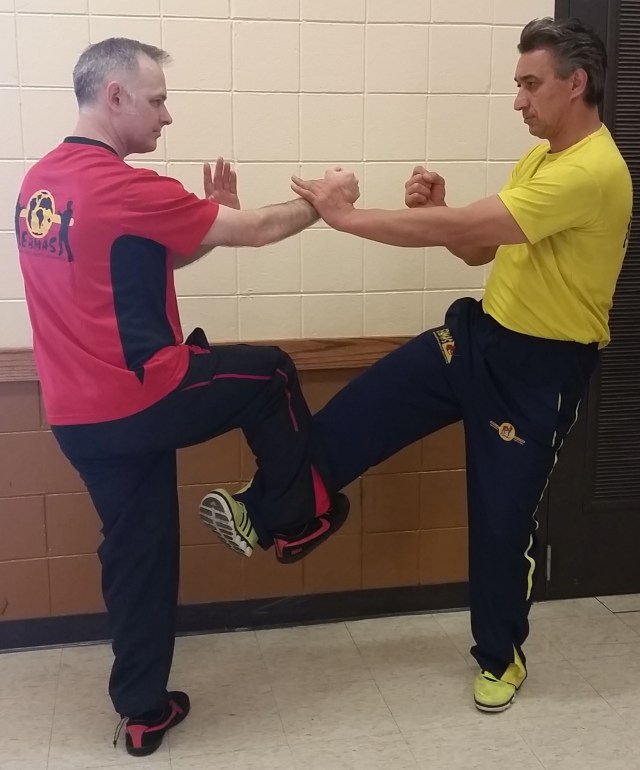 Main image of Wing Chun MSP