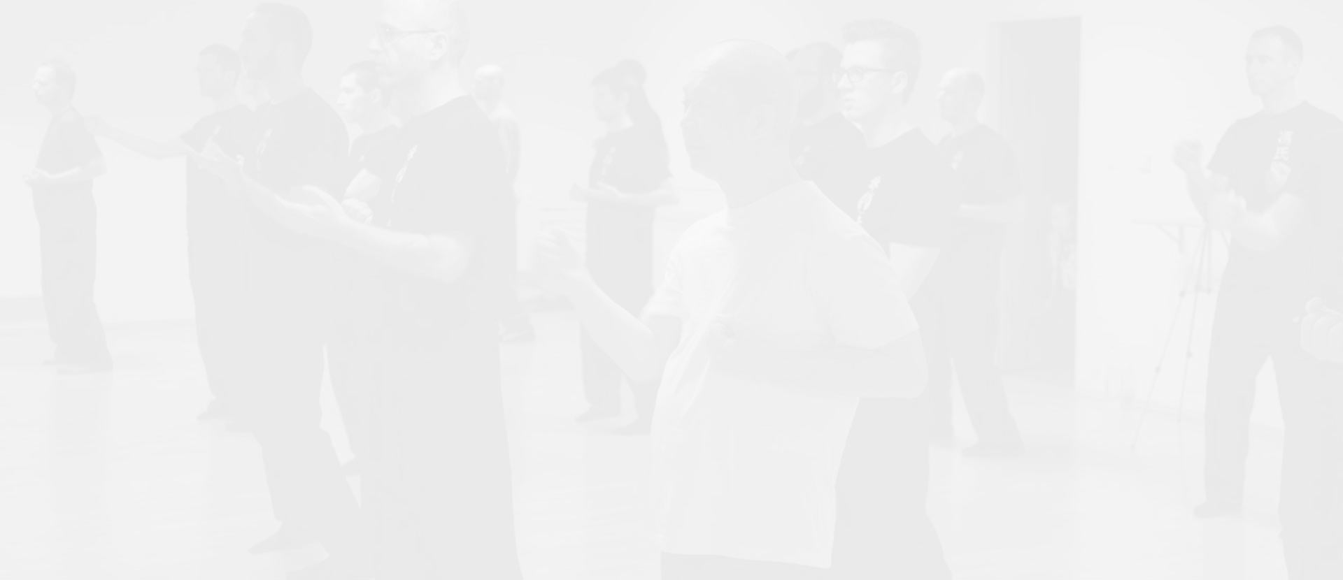 Main image of Wing Chun Prague