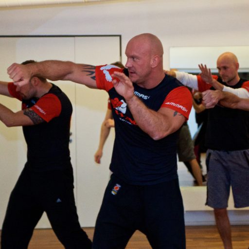 Main image of Wing Fight Bad Vilbel