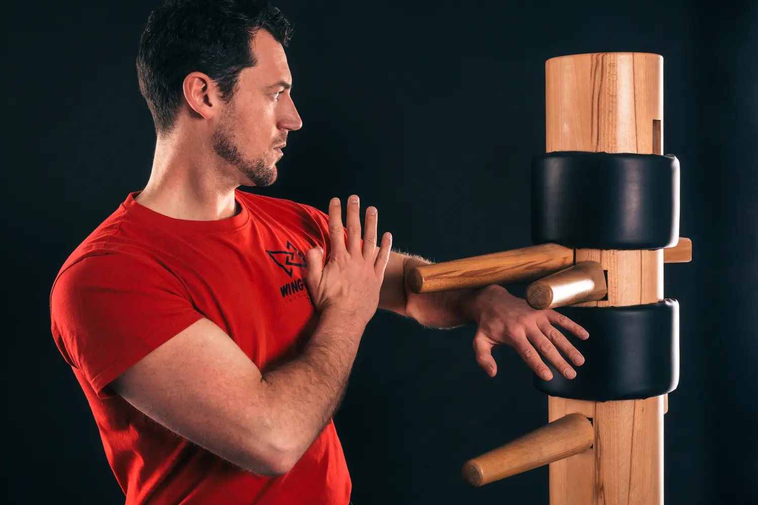 Main image of Wing Tsun Savedefence
