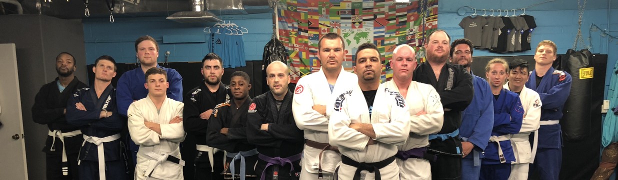 Main image of Wise Fighters
