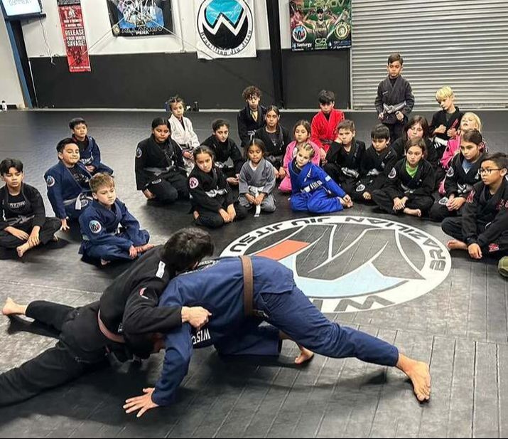 Wise Jiu Jitsu