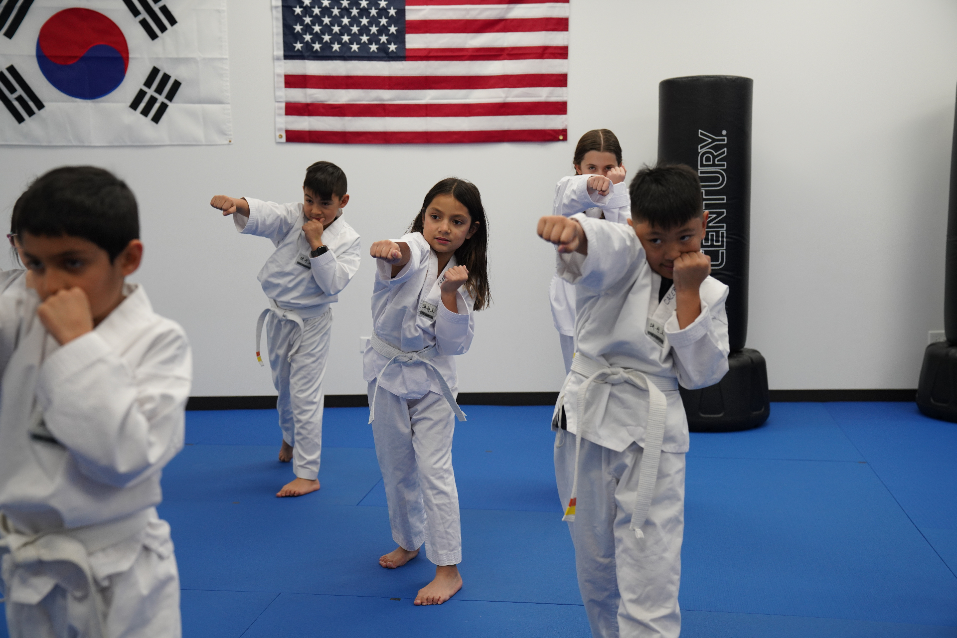Main image of WK Martial Arts | Taekwondo Schaumburg