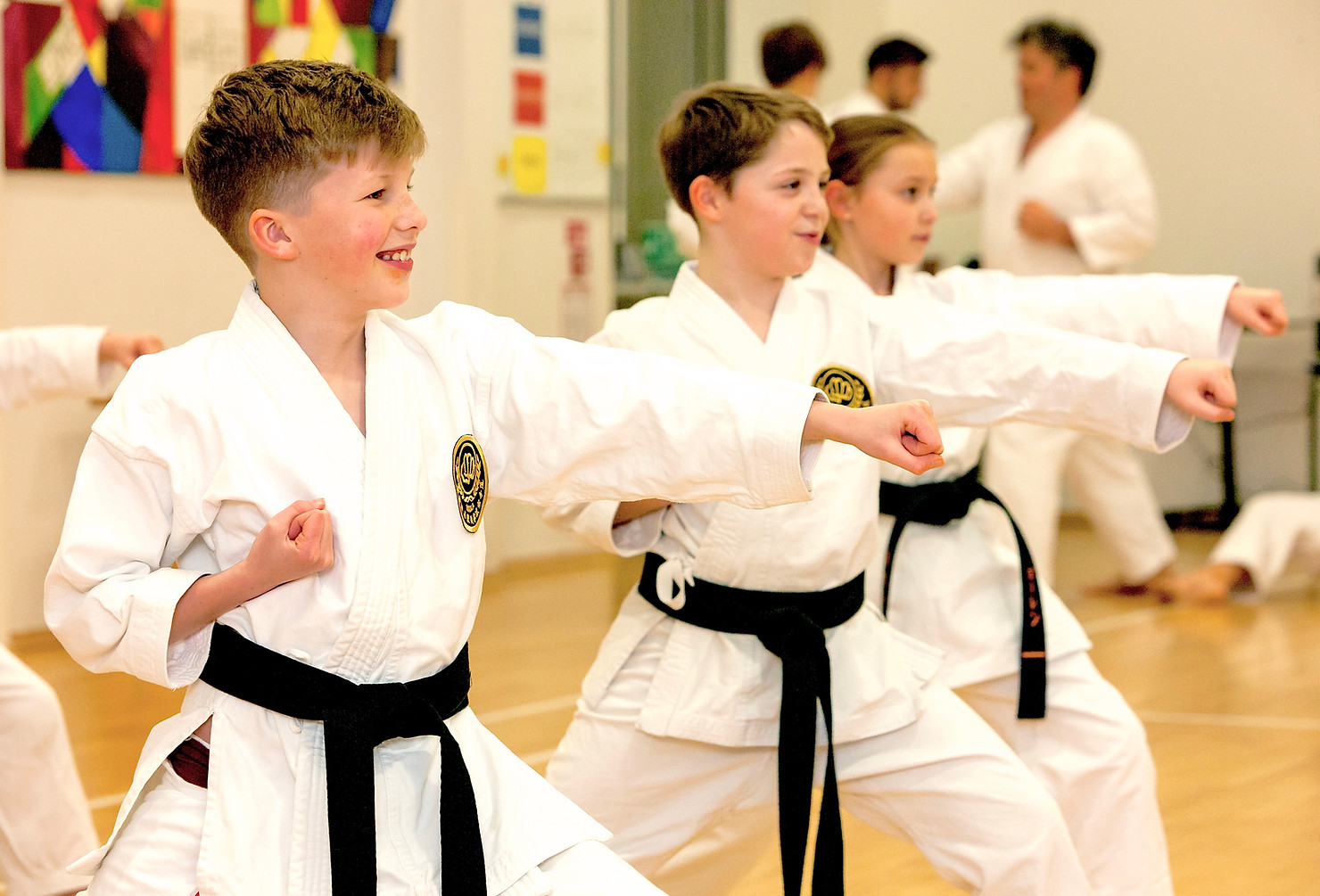 Main image of WKKA Scotland Karate