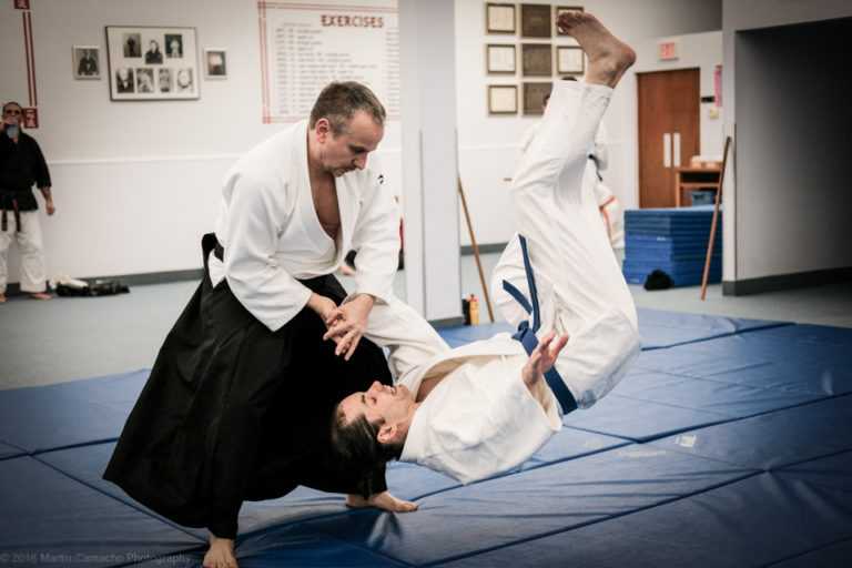 Main image of WNYAikido