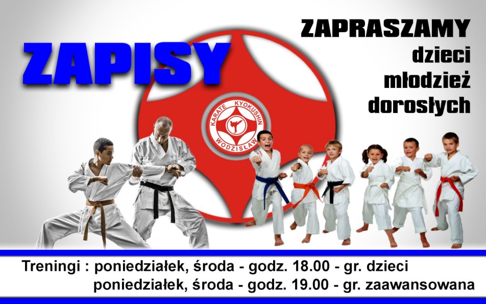 Main image of Wodzisławski Klub Karate Kyokushin TKKF Karate-Do