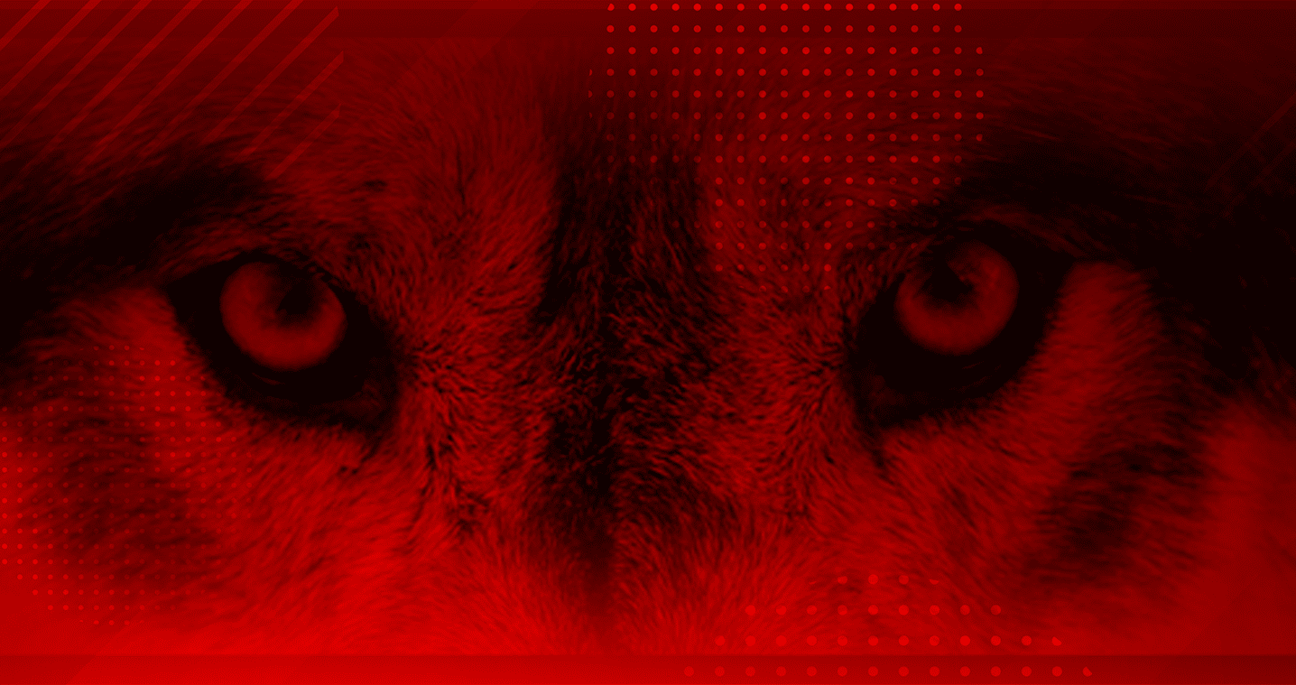 Main image of Wolf Martial Arts