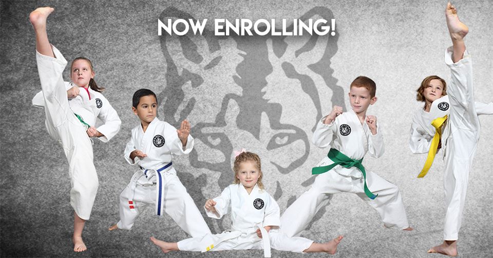 Main image of Wolf Pack Martial Arts