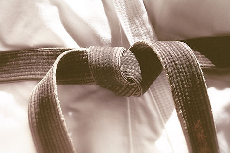 Main image of Won' s Tiger Martial Arts