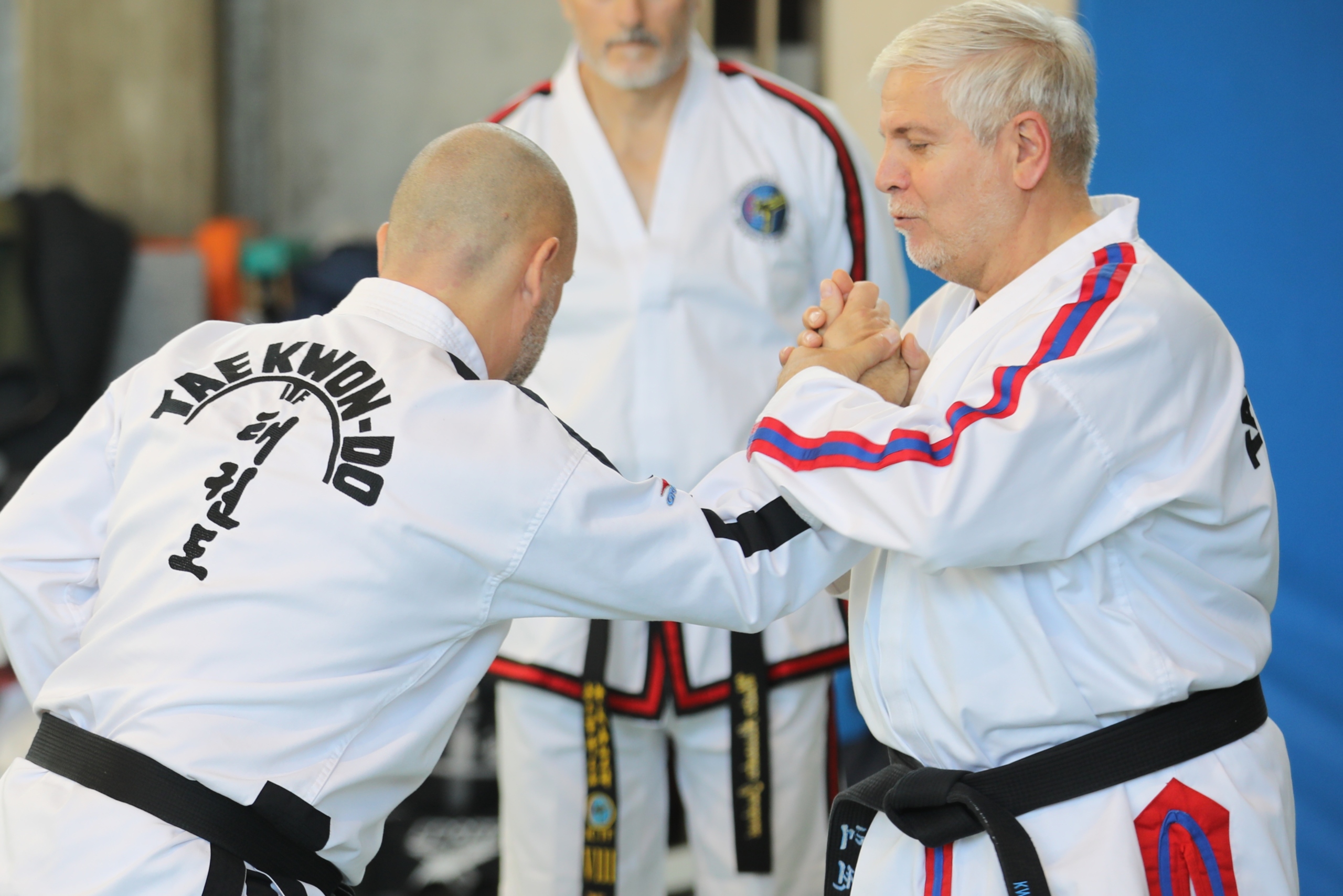 Main image of Woodbridge Taekwondo