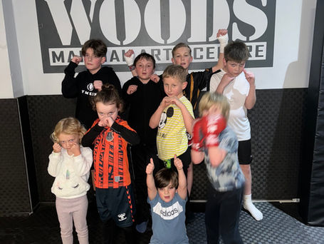 Main image of Woods martial arts centre