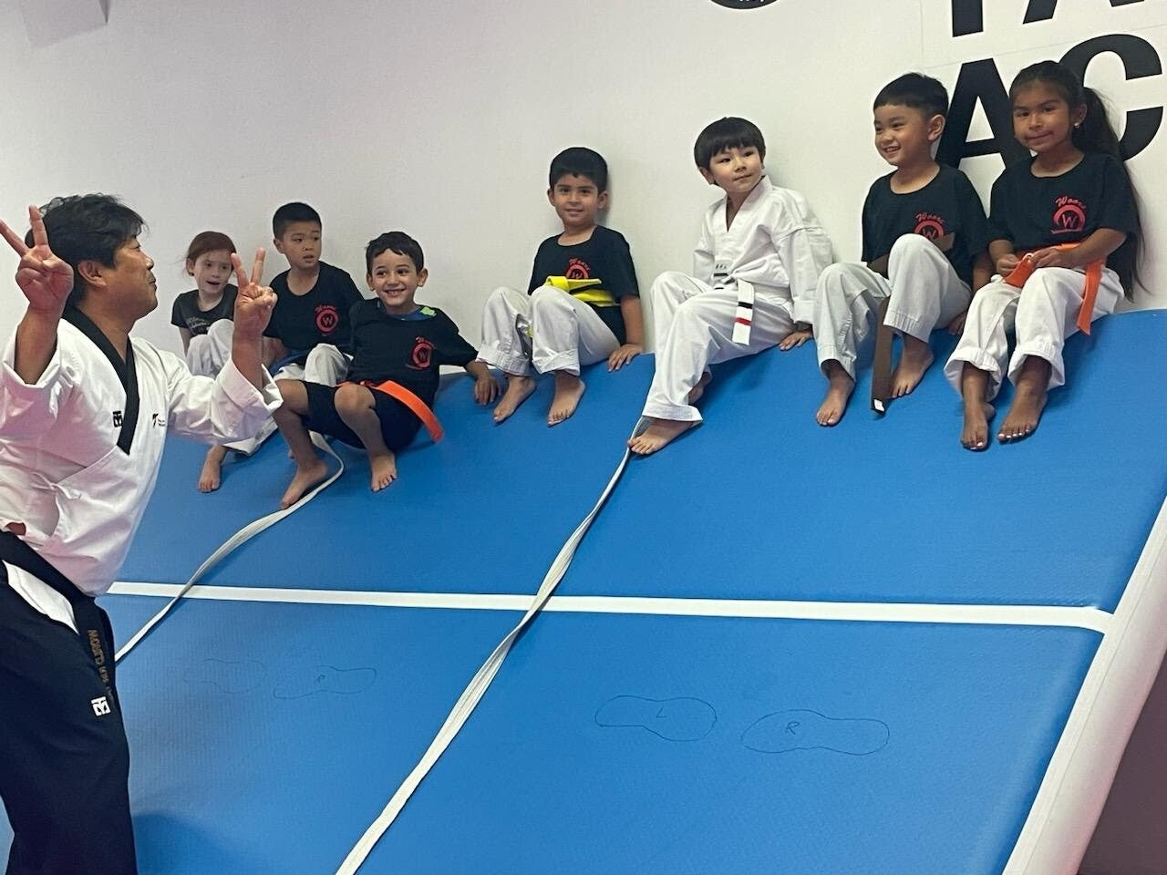 Main image of Woori Taekwondo & Hapkido Academy Chicago