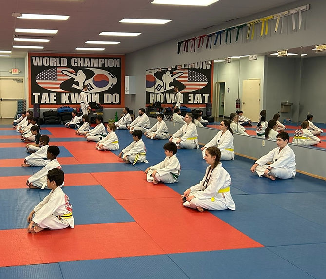 Main image of World Champion Tae Kwon Do