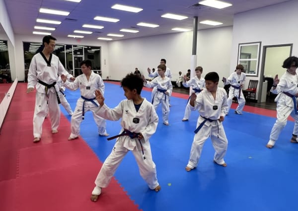 Main image of World Class Tigers Taekwondo