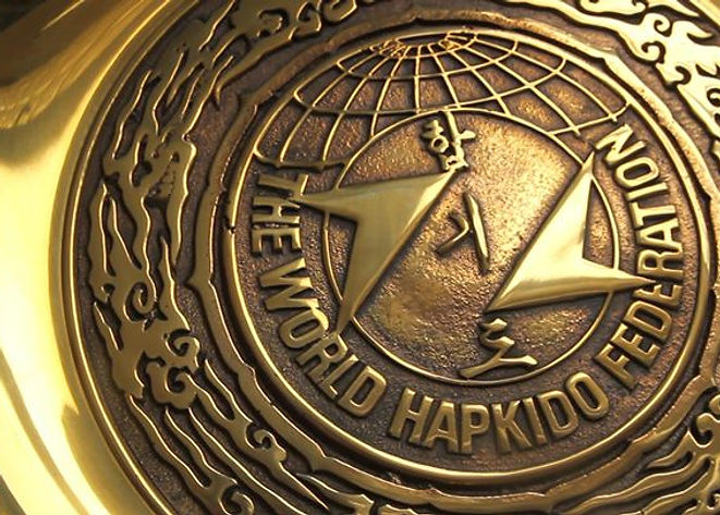 Main image of World Hapkido Federation - Puerto Rico