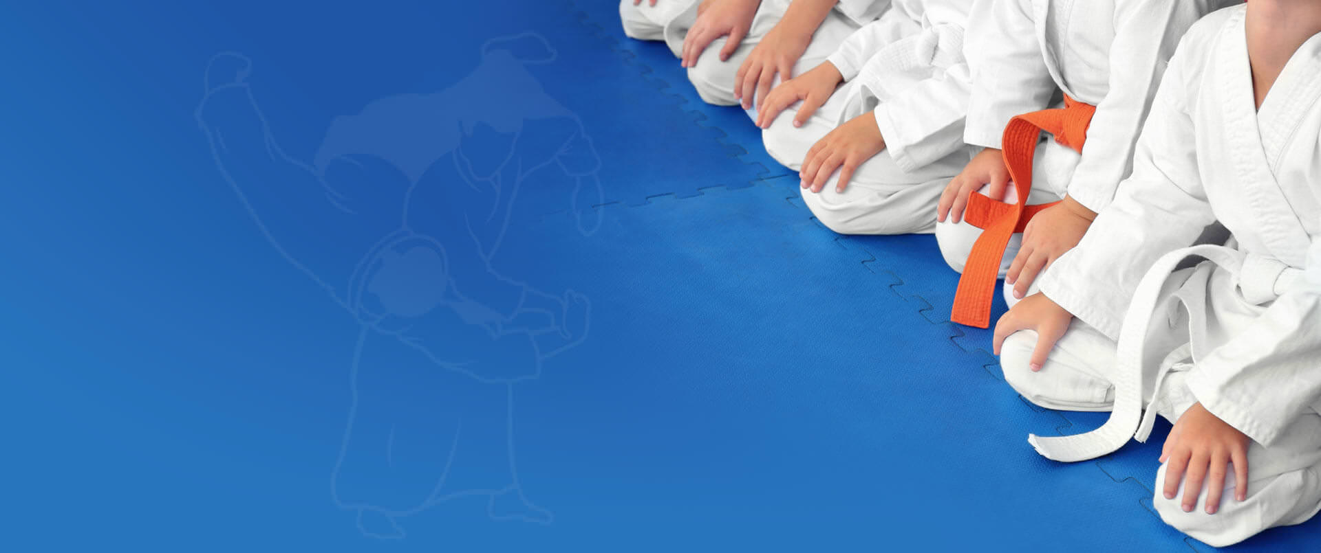 Main image of World Ju-Jitsu Federation Deutschland e.V.
