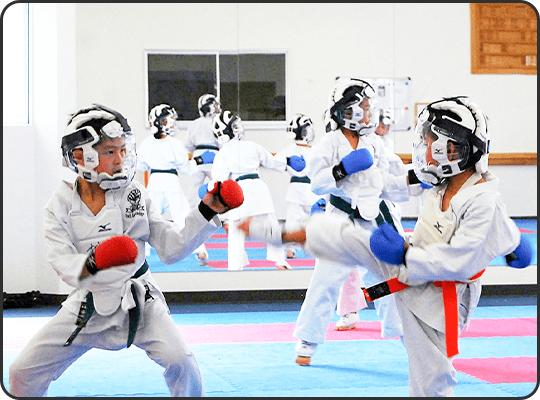 Main image of World Karate Academy