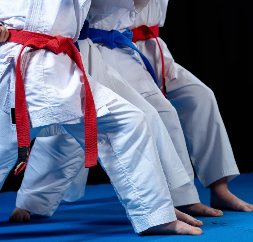 Main image of World Karate