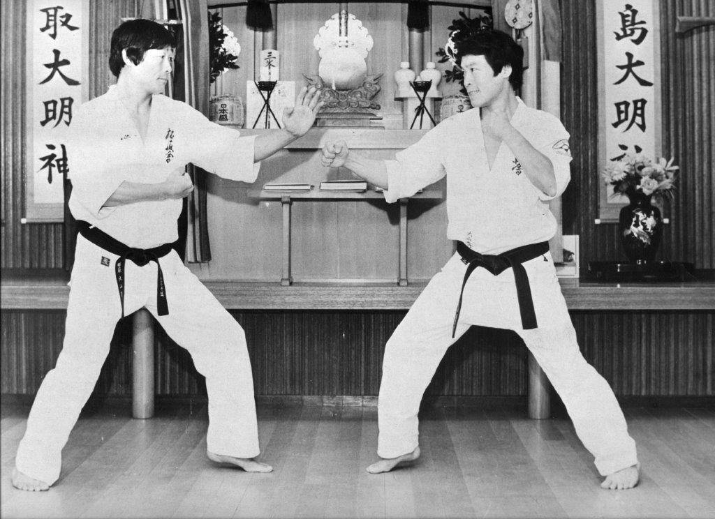 Main image of World Oyama Karate