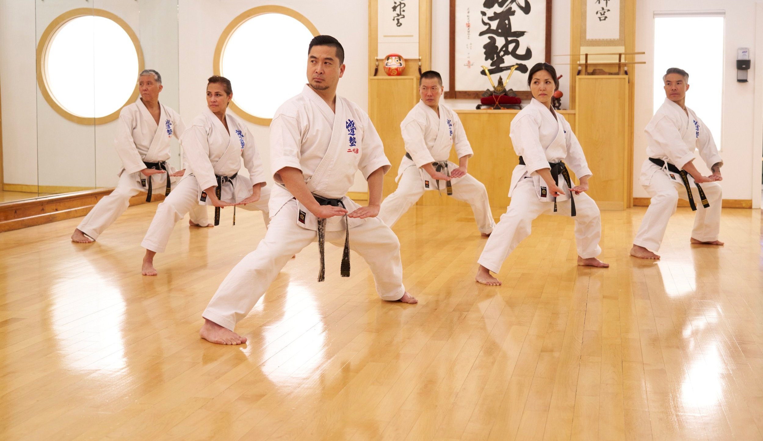 Main image of World Seido Karate