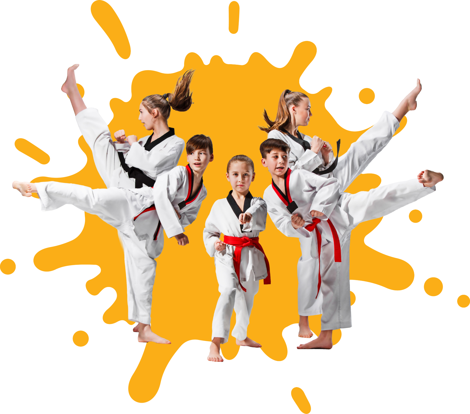 Main image of World Taekwondo Academy