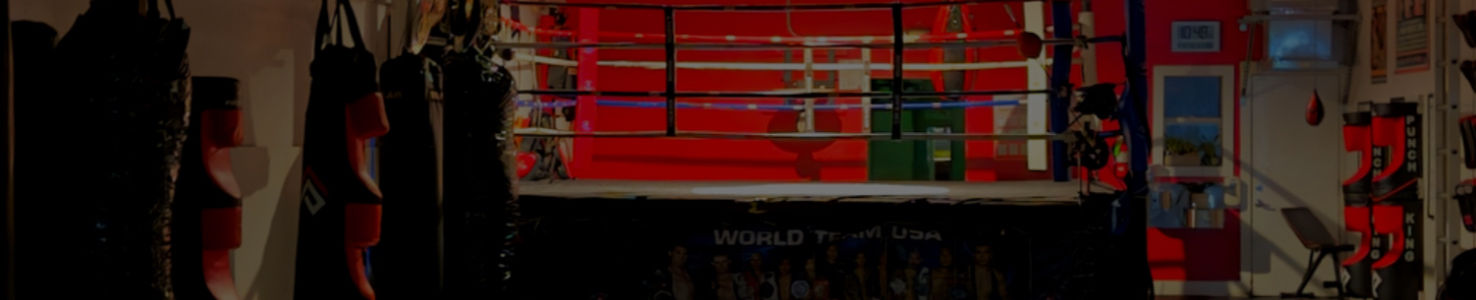 World Team USA Muay Thai BJJ & Fitness academy photo