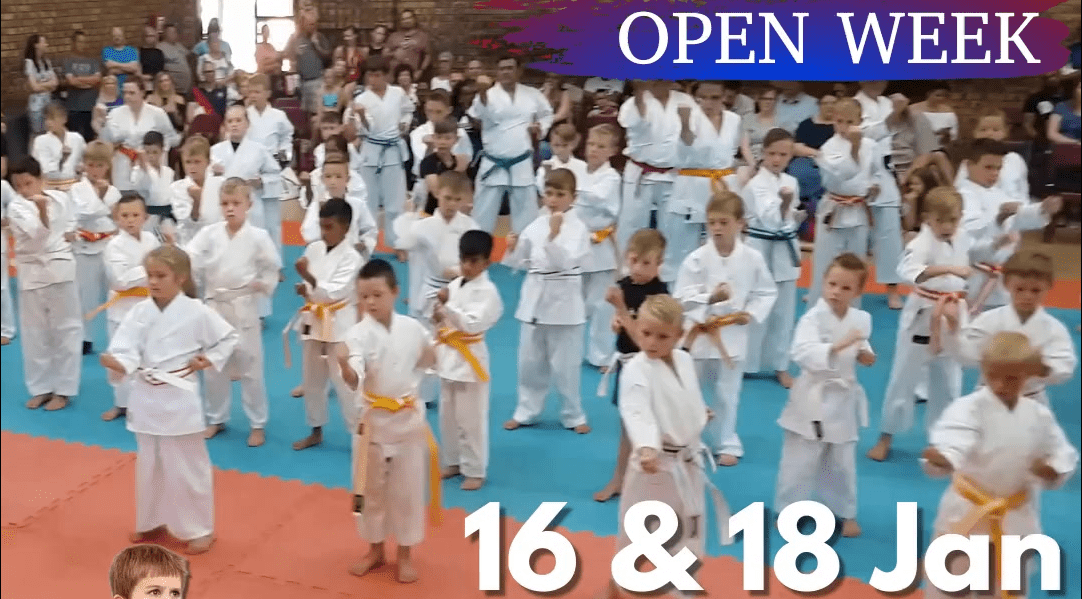 Main image of WP Karate Club