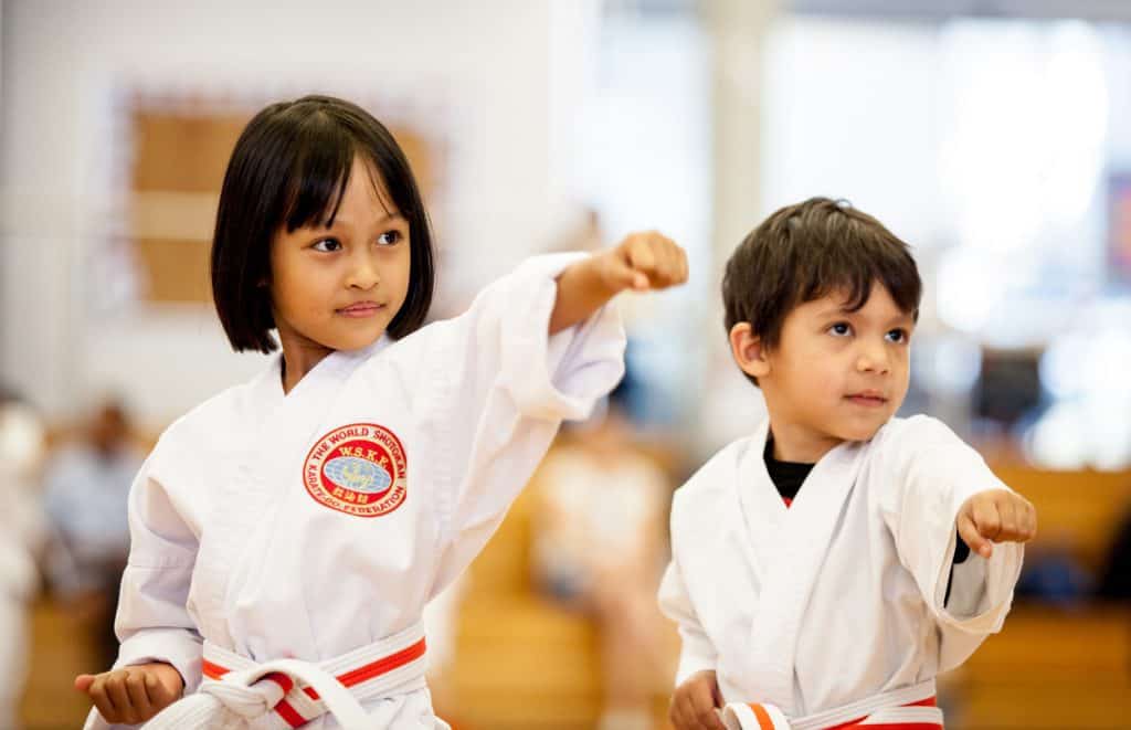 Main image of WSKF Australia - GSK Karate
