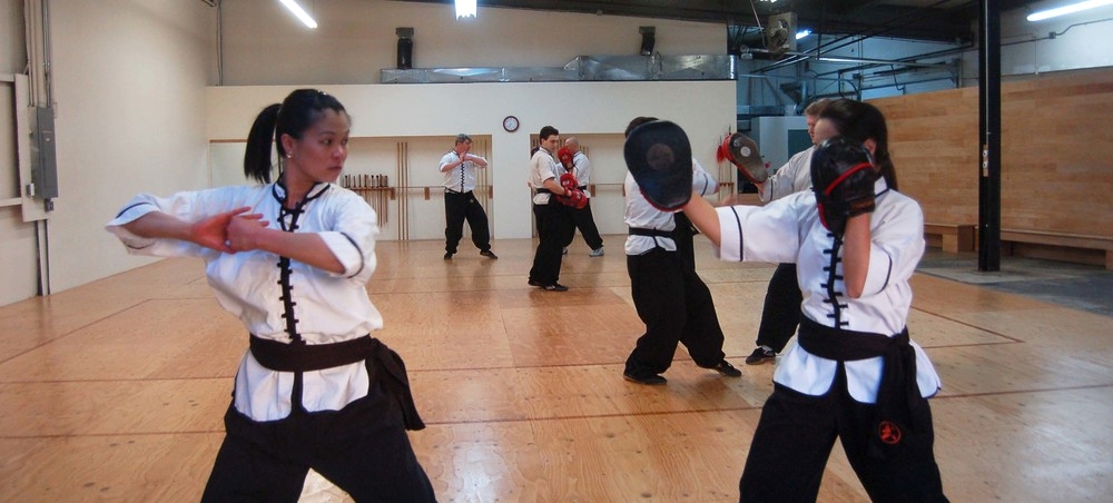 Main image of Wu Dao Kung Fu
