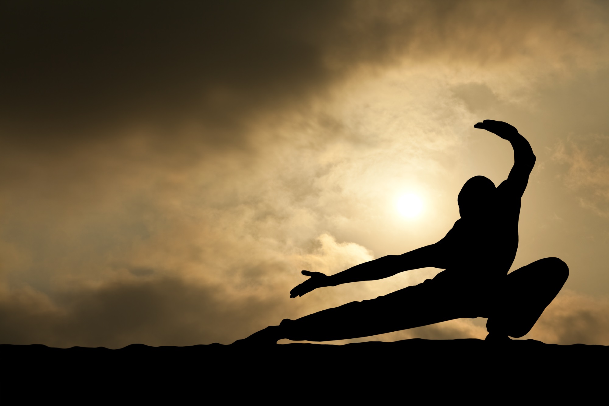 Main image of Wu Xing Chinese Academy