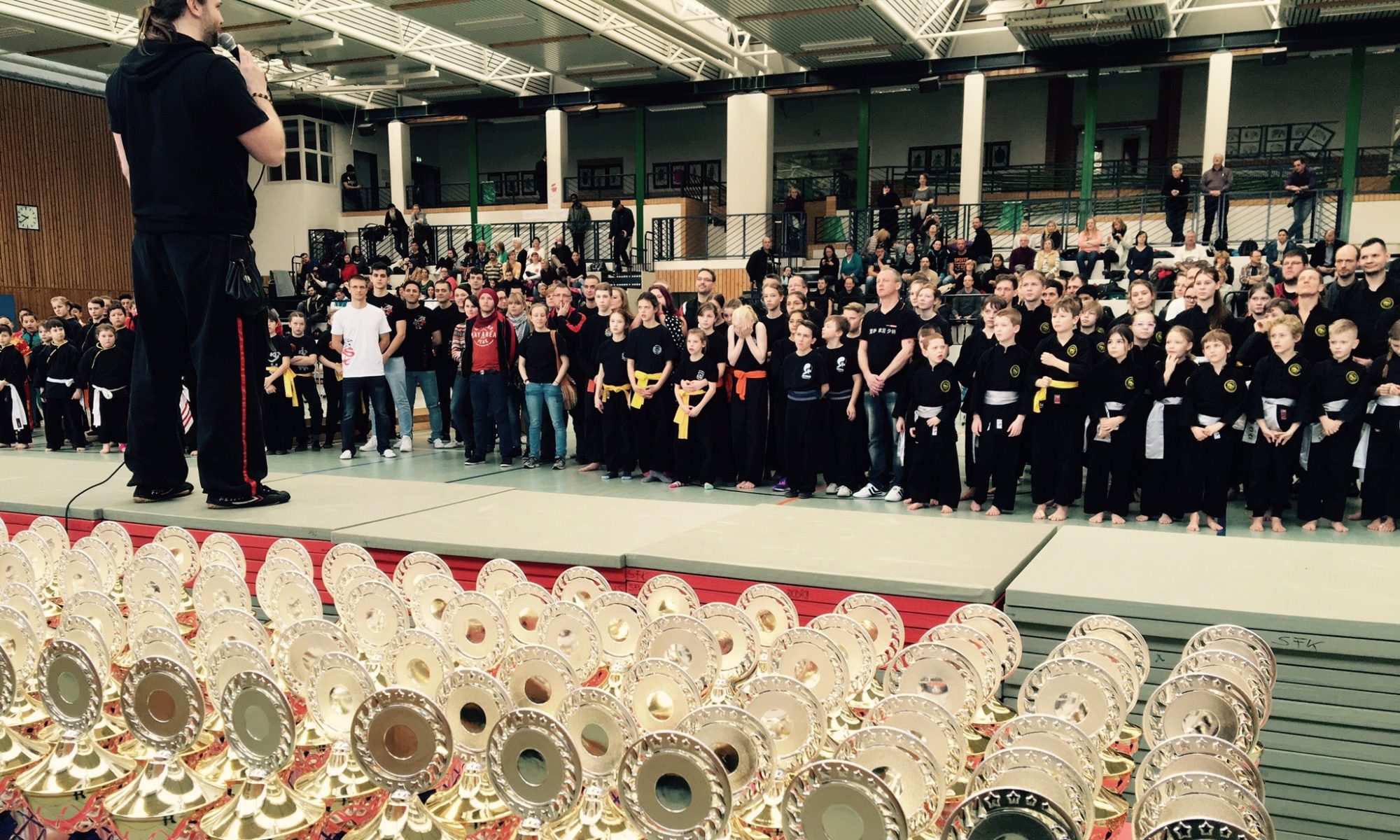 Main image of Wushu Riesa e.V.