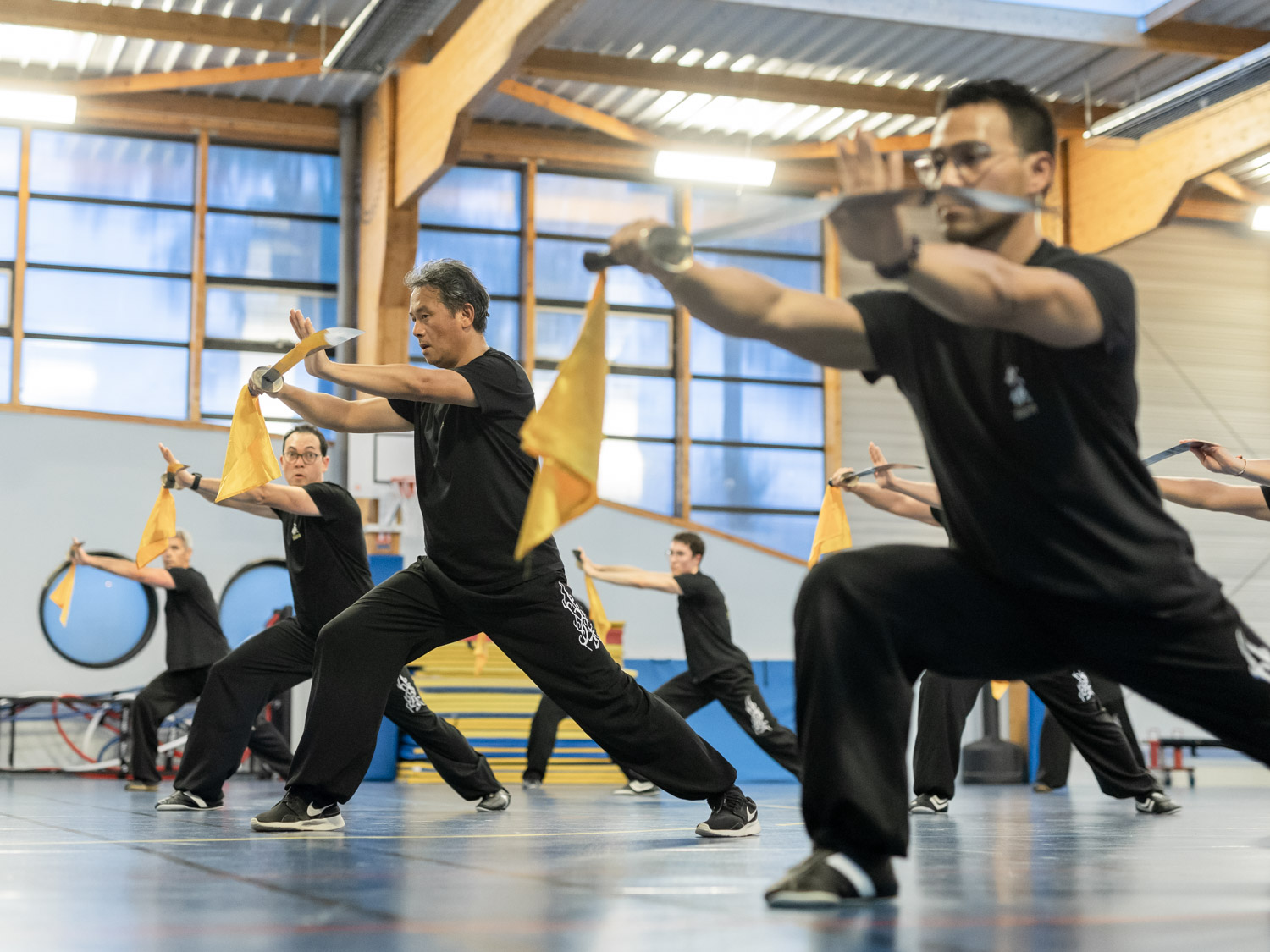 Main image of Wuxia Kung Fu